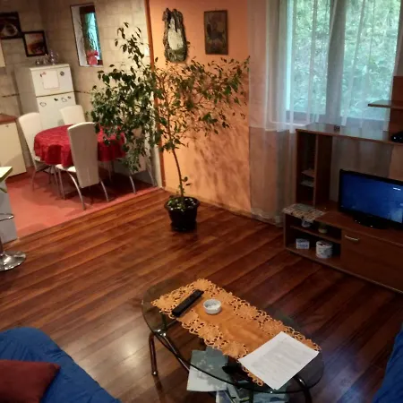 Apartmani Lazic Плужине Екстер'єр фото