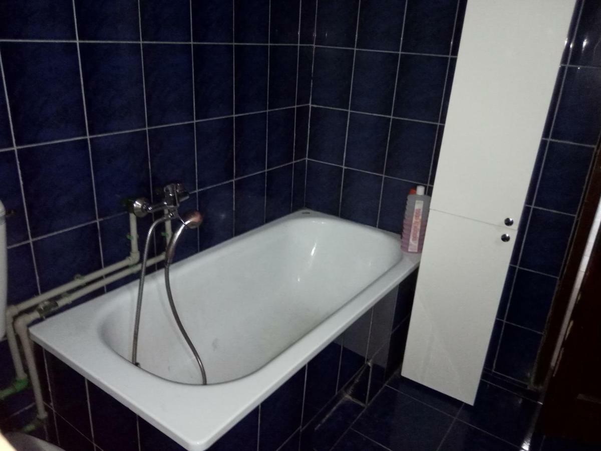 Lazic Apartment Pluzine
