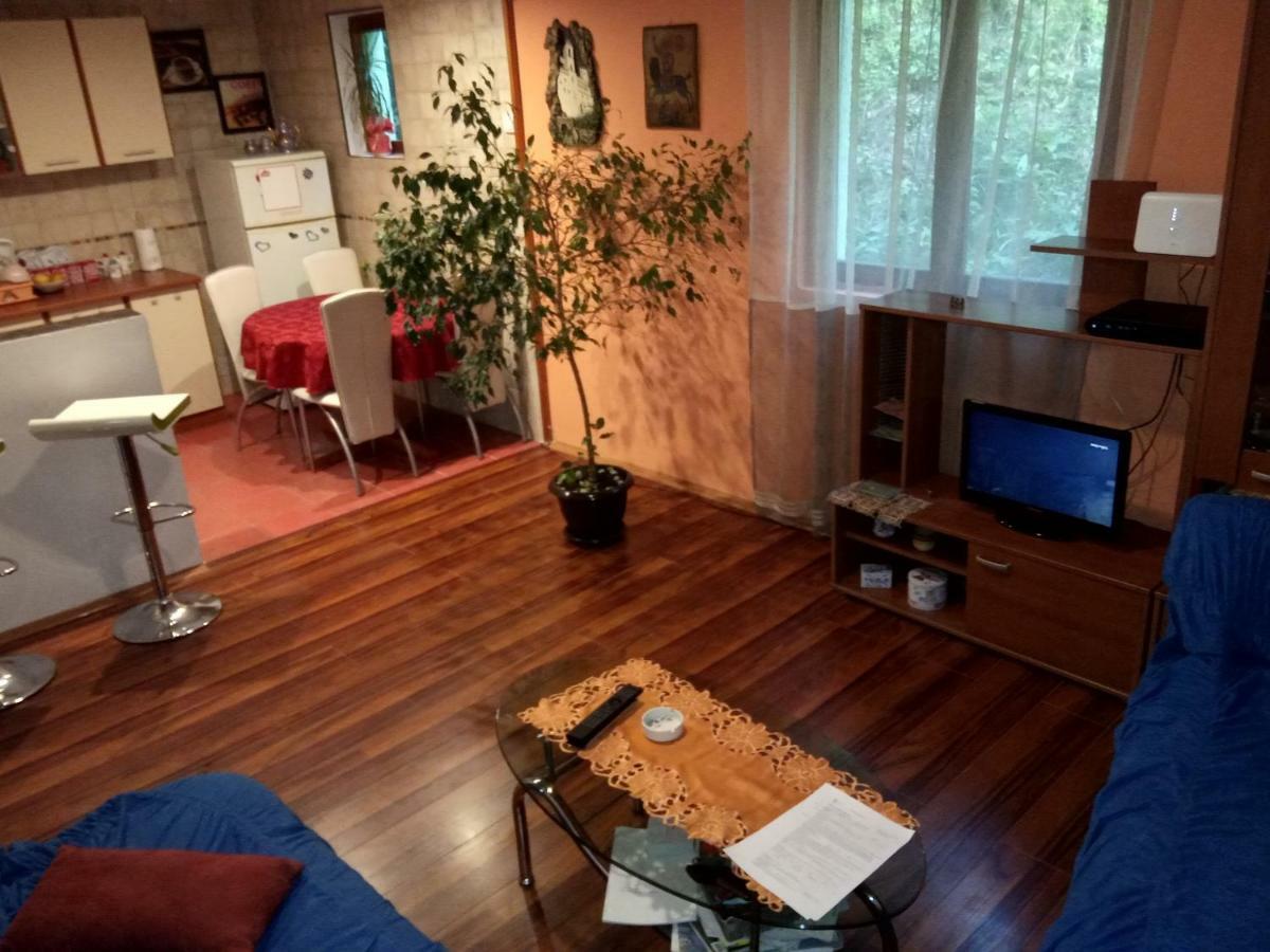 Lazic Apartment Pluzine